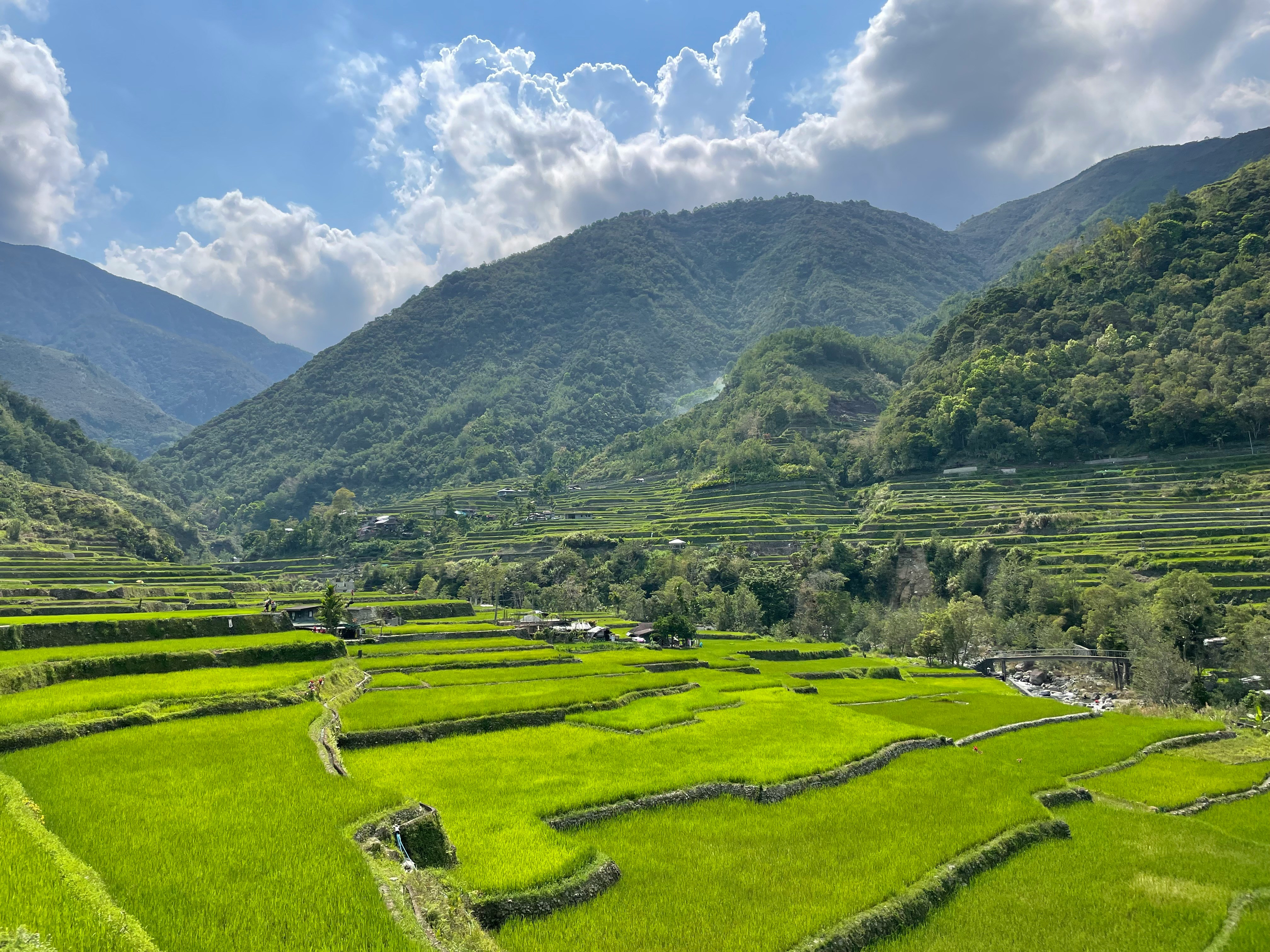 Banaue Rice Terraces